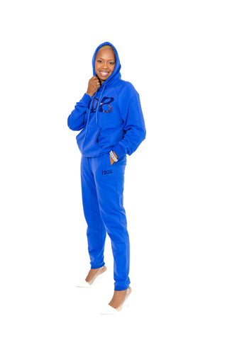 ΖΦΒ Incognito Airport Hoodie H29