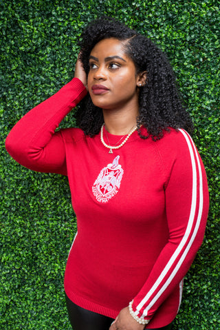 ΔΣΘ Red Center Crest Sweater