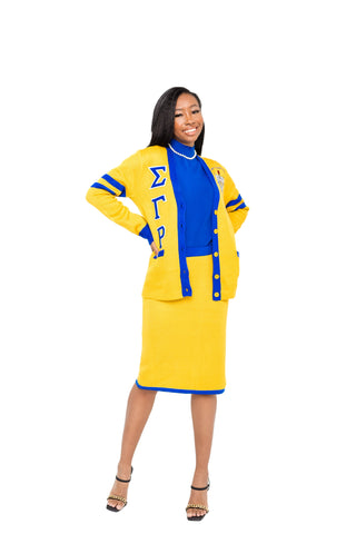 Gold/Blue Knit Skirt