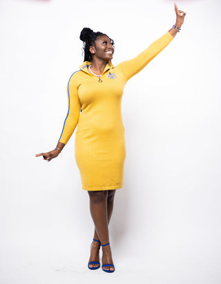 ΣΓΡ Gold Zip Dress