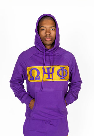 ΩΨΦ Incognito Airport Hoodie H29